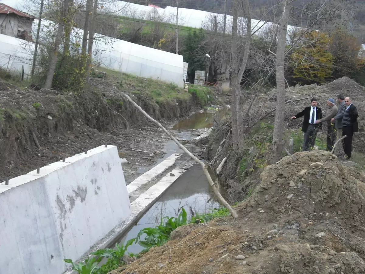 Milletvekili Tunç, Dedbent Taşkın Koruma Çalışmalarını İnceledi

