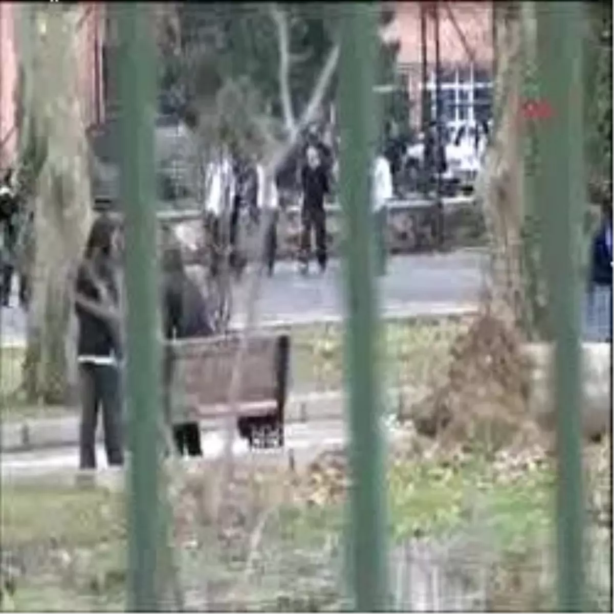 Destek Olmaya Gitti, Tepkiyle Karşılaştı