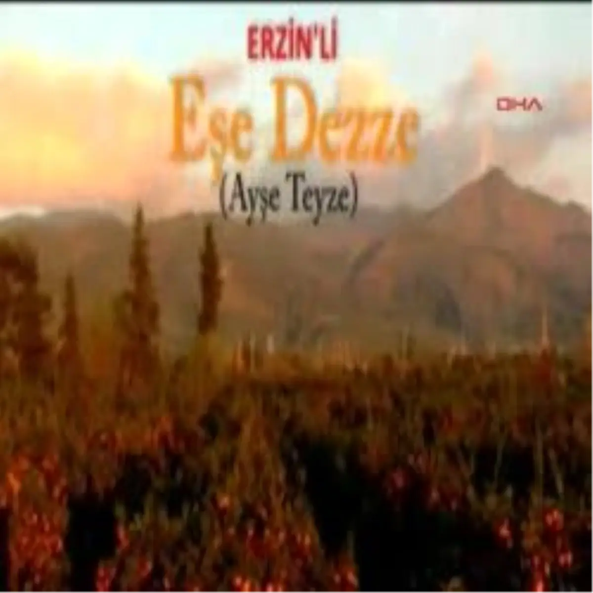 Köylü Kadın Narenciye Klibi Çekti