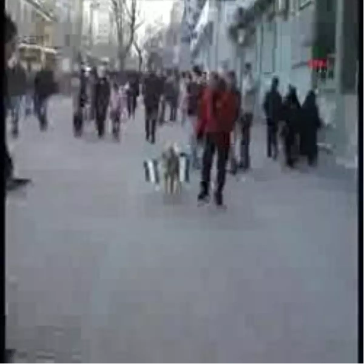 Bursaspor\'un Yeni Maskotu Kont