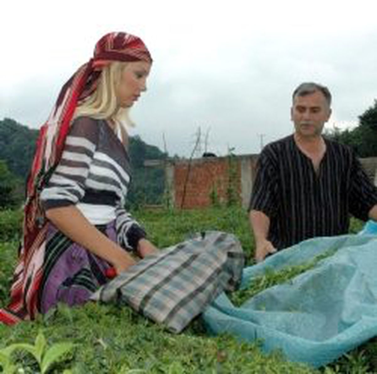 Tarımsal Destek Yüzde 207 Artırıldı