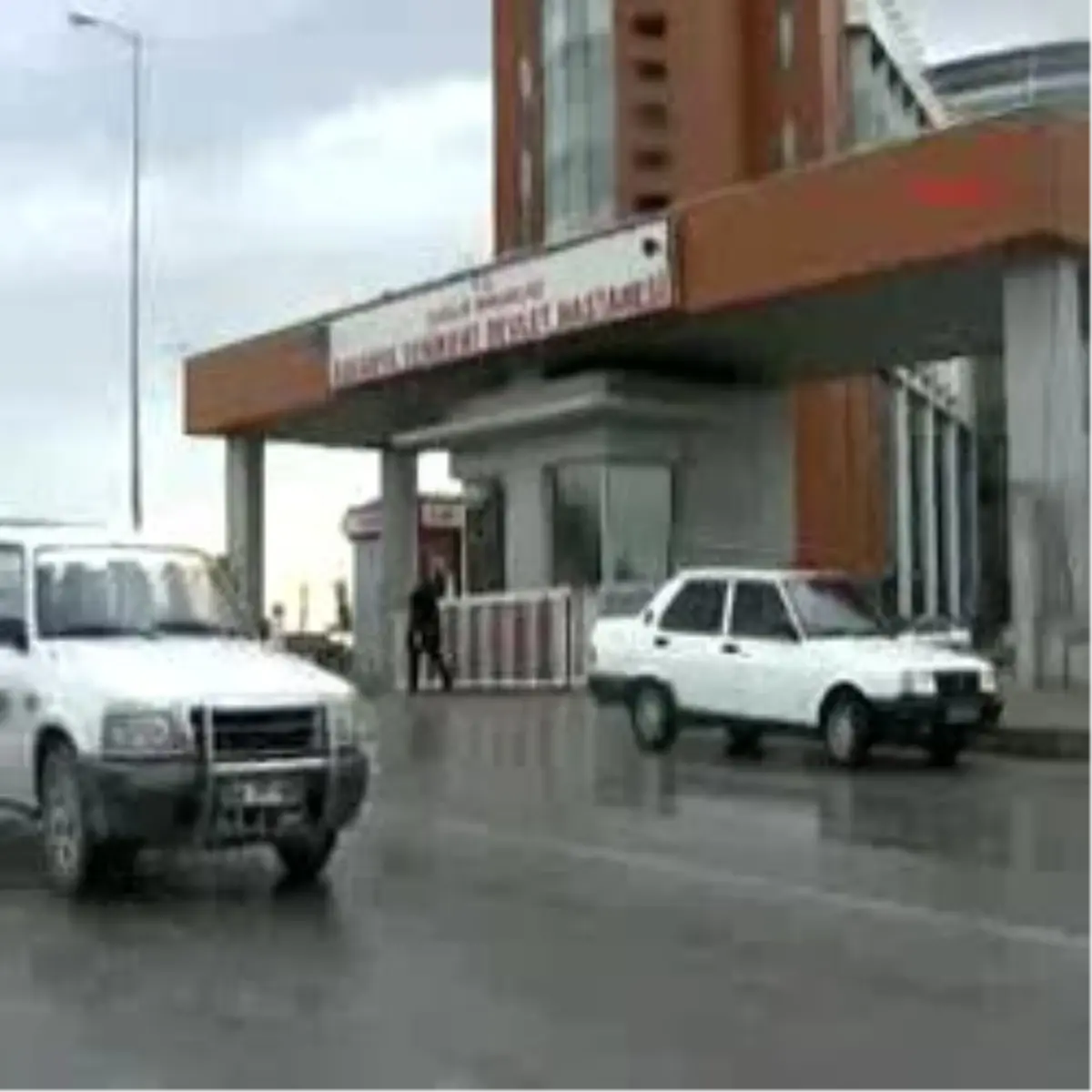 Devlet Hastanesi\'nin 5\'İnci Katında Akrep Bulundu