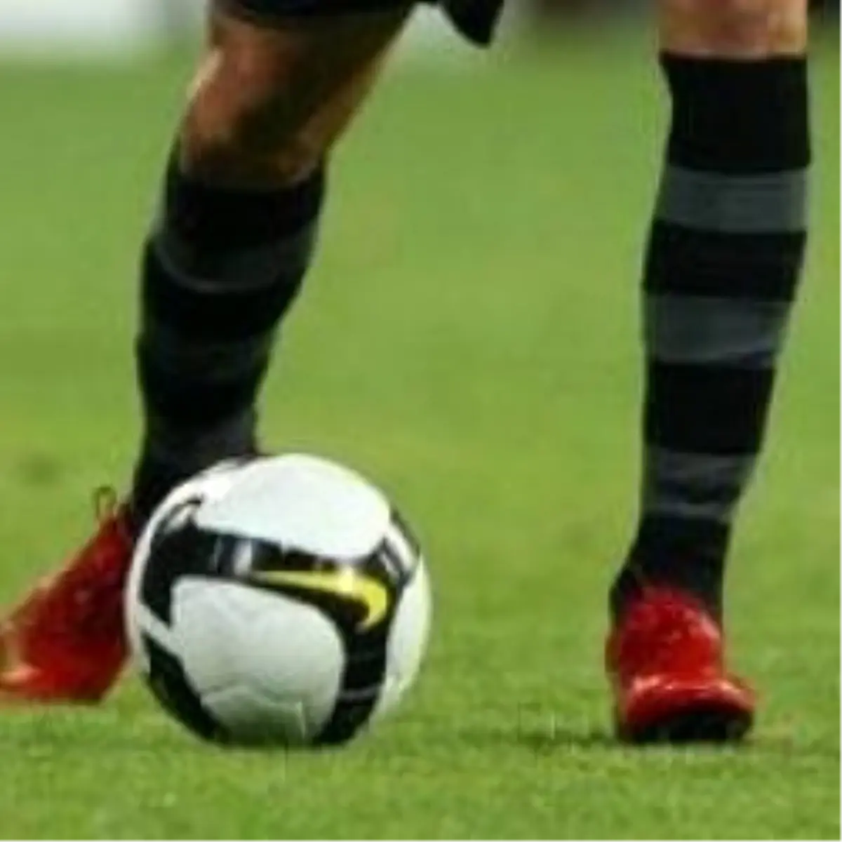 Alanya Evinde Ceyhan\'a Teslim