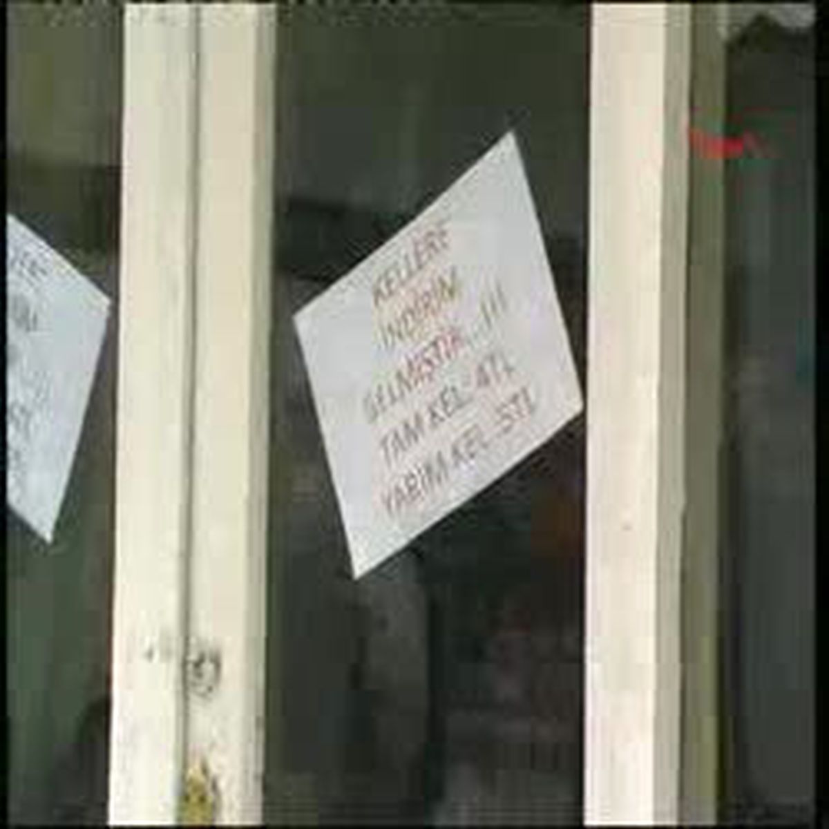 Berberin 'Kel' Açılımı