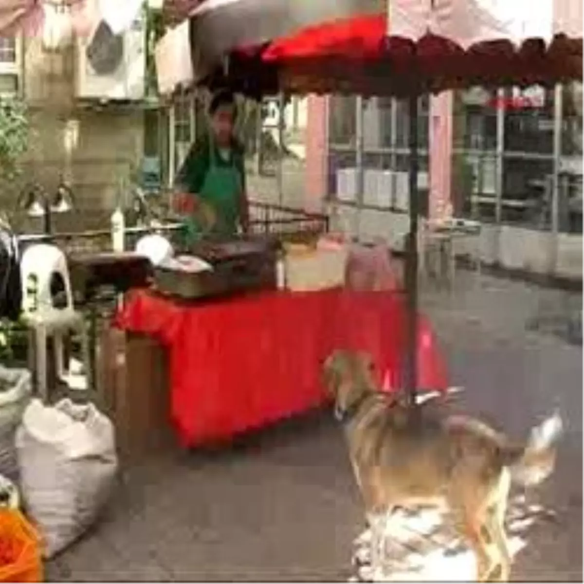 Bigadiç'te Berduş Alışverişte