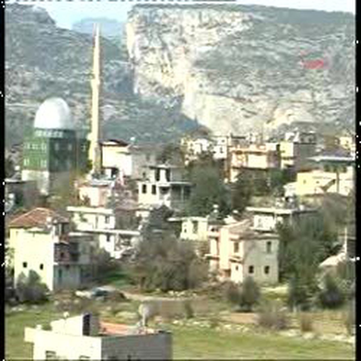 80 Zeytin Ağacını Kestiler