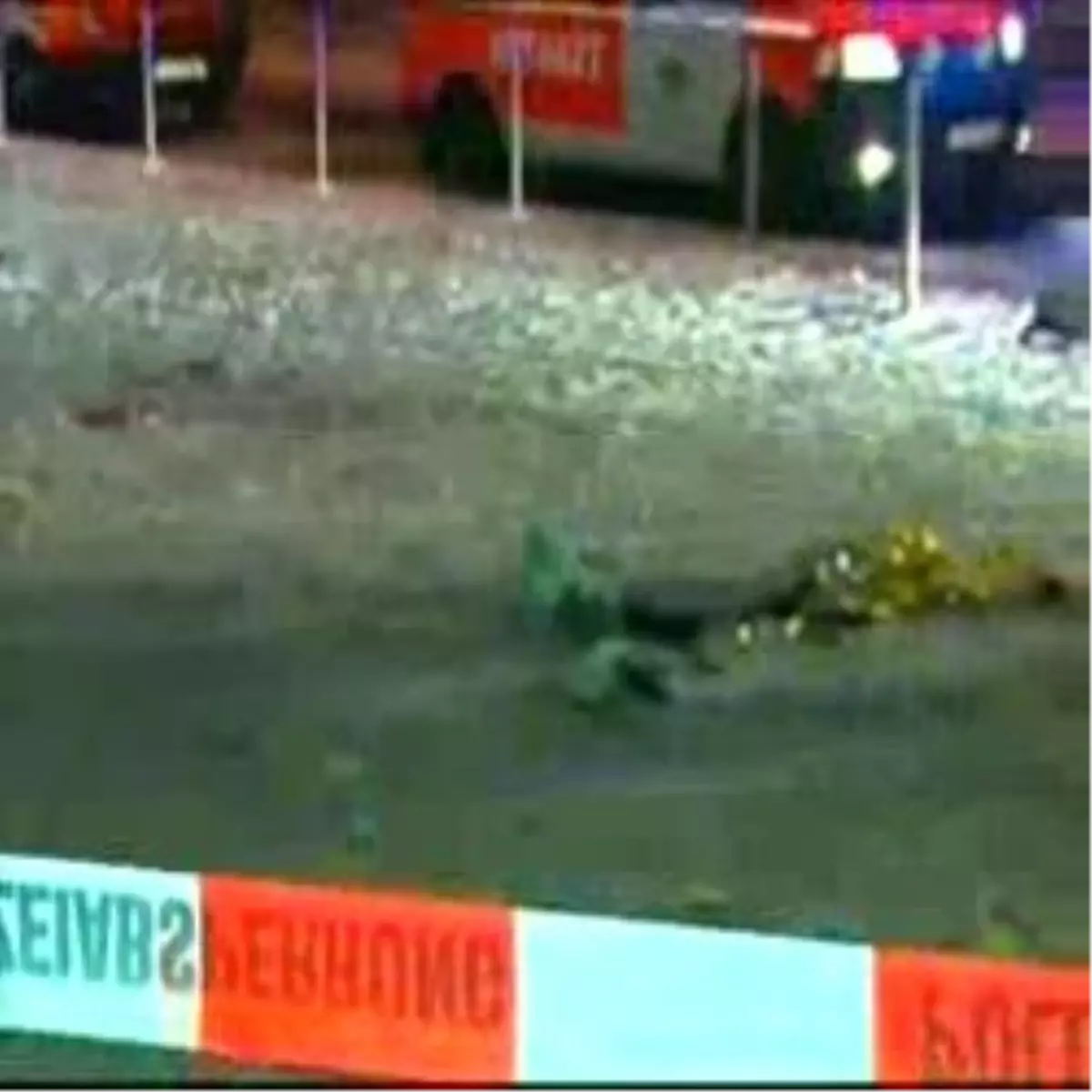 Tilki, Almanya'ya İade Edildi