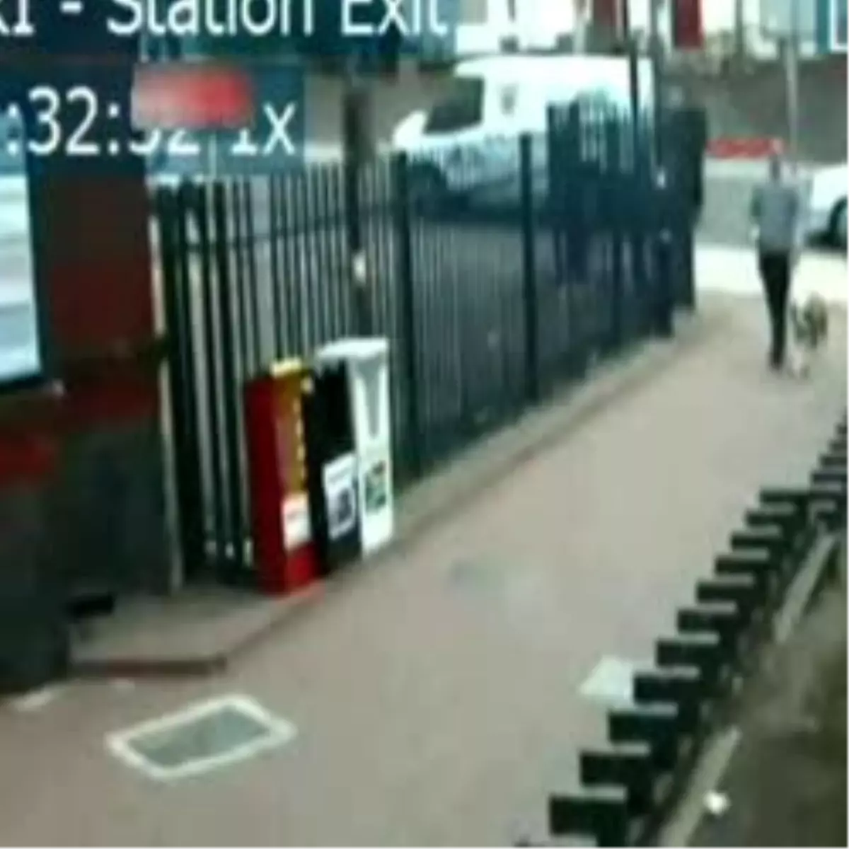 Pitbull Dehşeti Kamerada