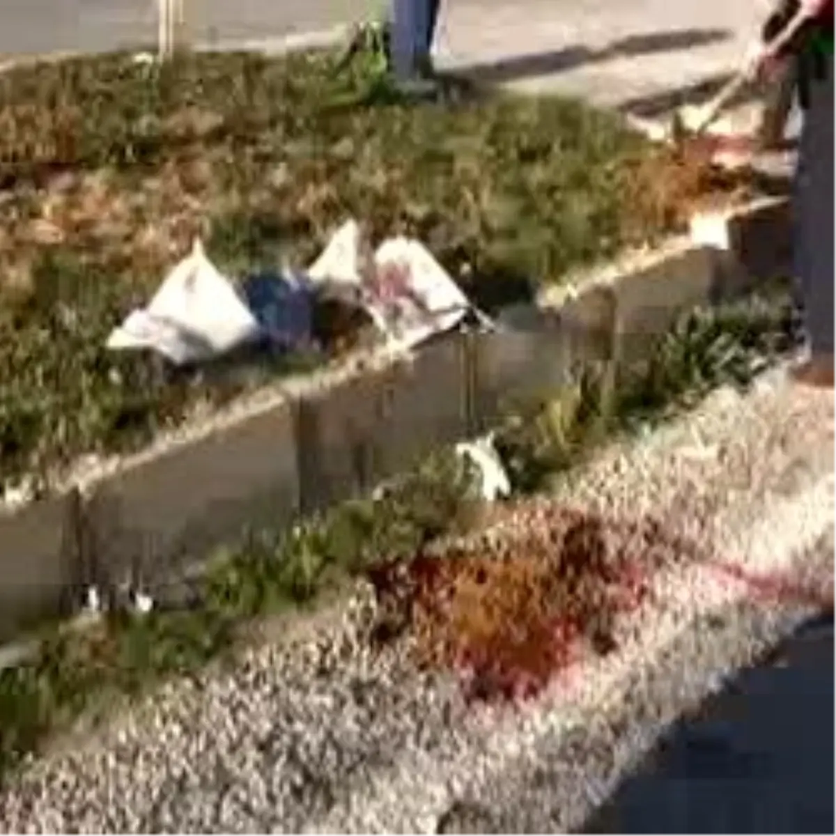 Ecel Kavşakta Yakaladı