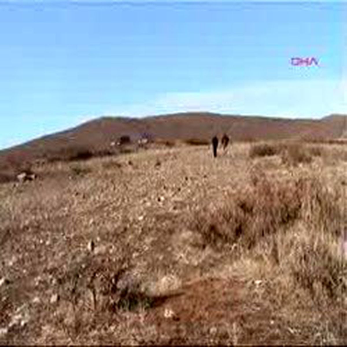 Köylüden Muhtara Mera Tepkisi