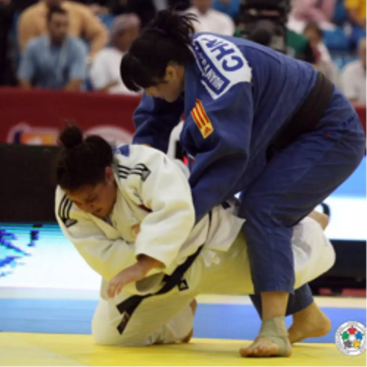 Kocaeli Büyükşehir\'den Milli Takıma Judocu Ordusu

