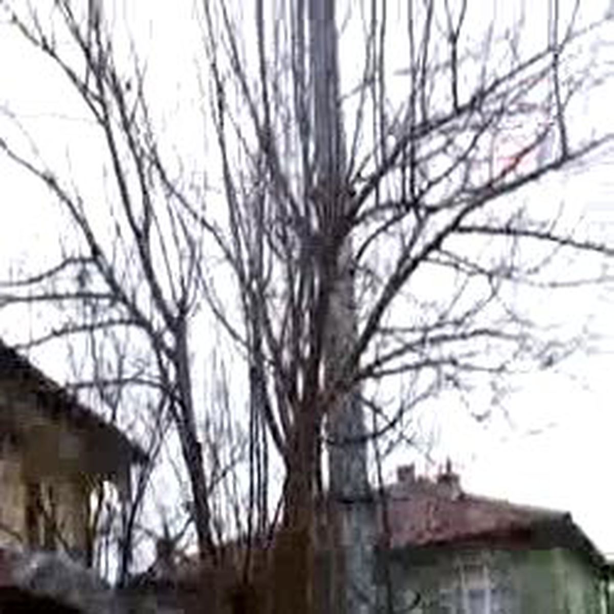 Kırıkkale-Mahallede Baz İstasyonu Gerginliği