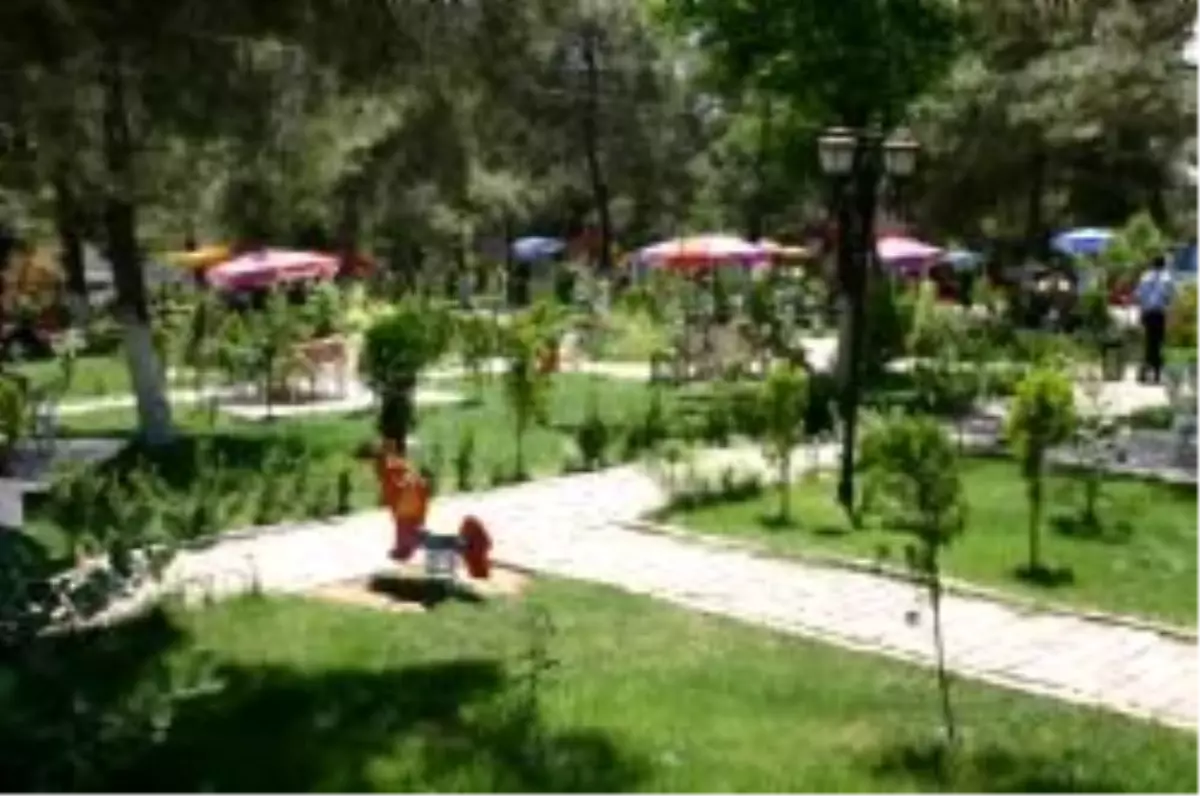 Siirt’te Bir Yaz Günü