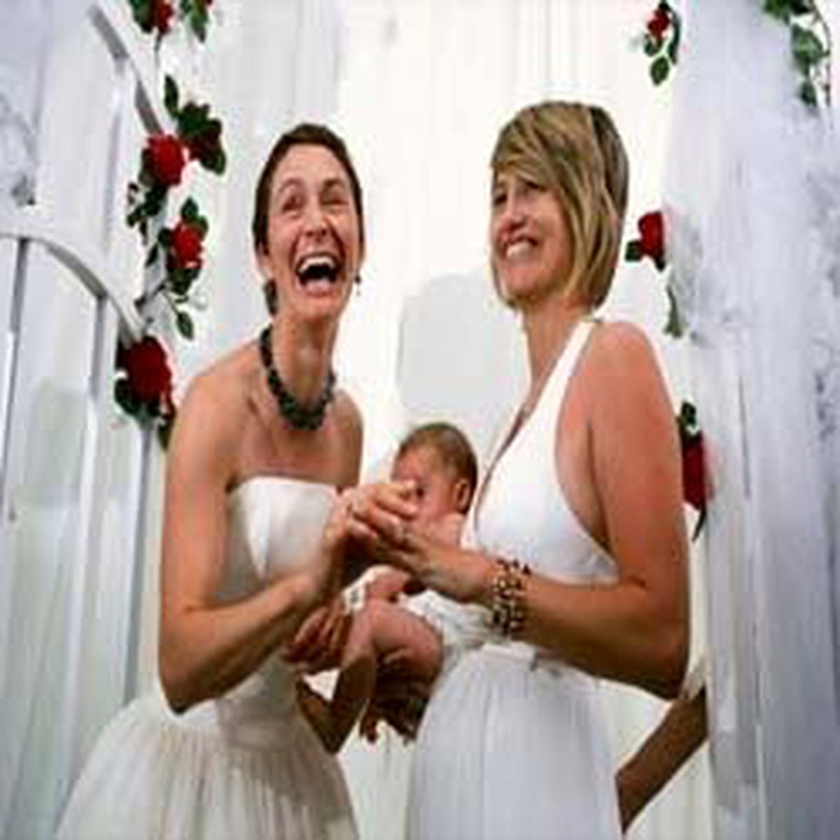 Eşcinsel Evliliğe Veto