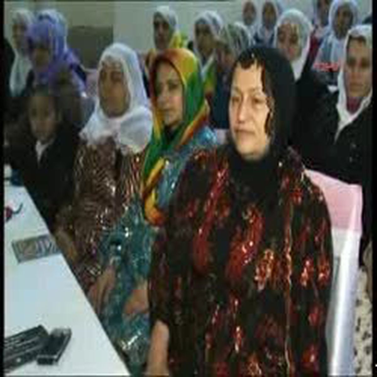 Adana - Emine Ayna 'Tecavüzcülere Hayvan Demek Hayvanlara Hakaret Olur'