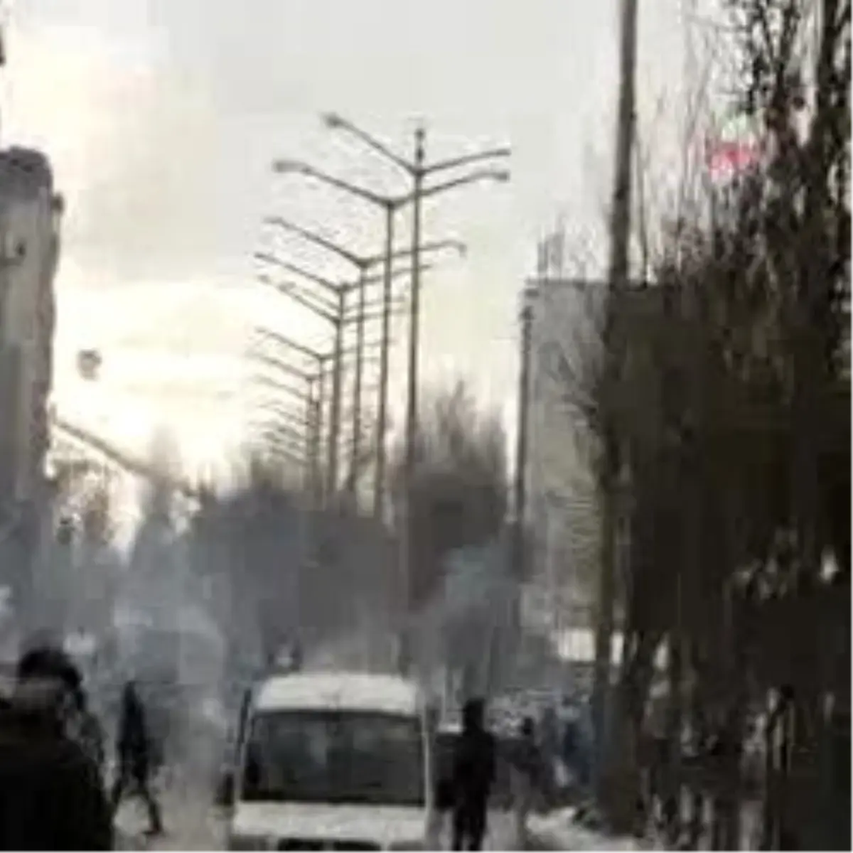 Canlarını Zor Kurtardılar