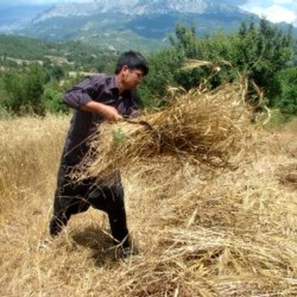 Çiftçiye Müjde Geliyor