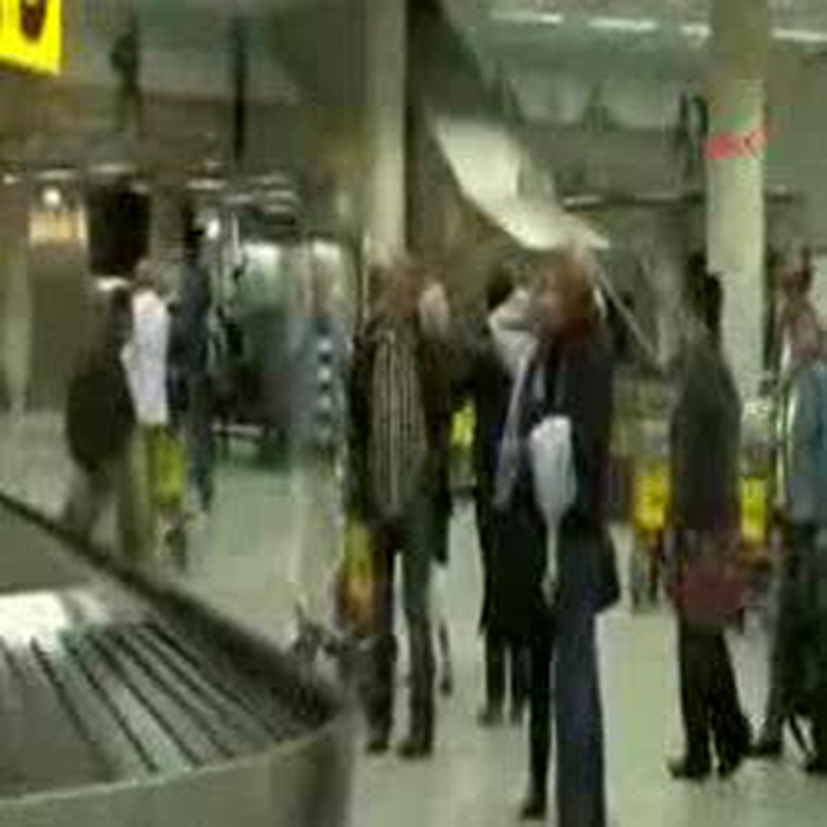Mısır'dan Hollandalıların Tahliye İşlemi Başladı