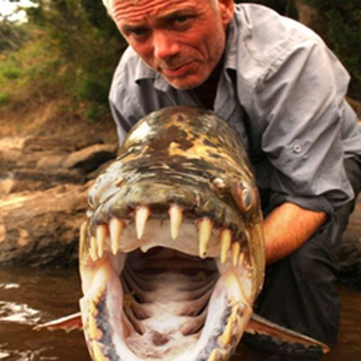 Balık Değil Canavar!