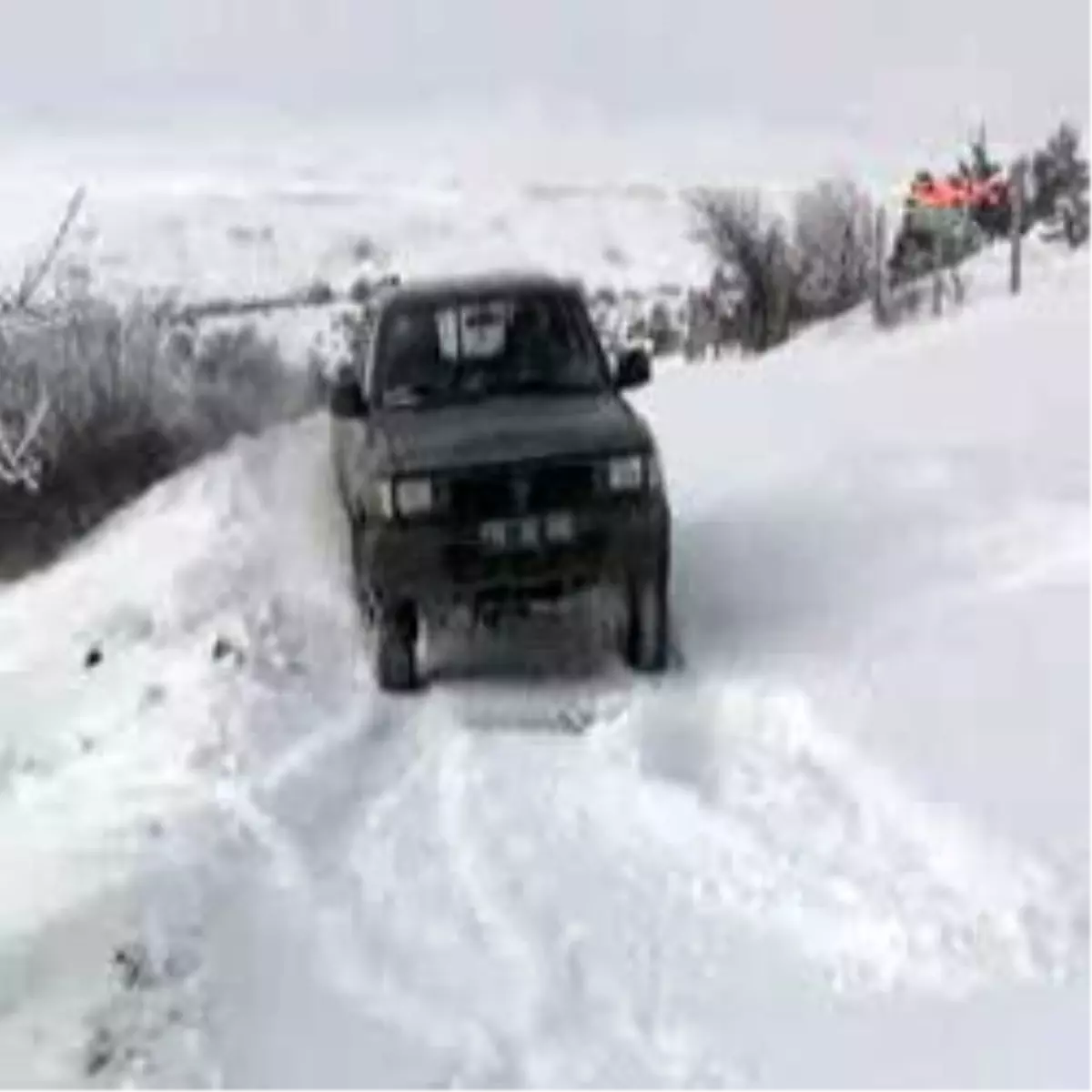 Yozgat - Karda Aç Kalan Hayvanlar İçin Doğaya Yiyecek Bırakıldı