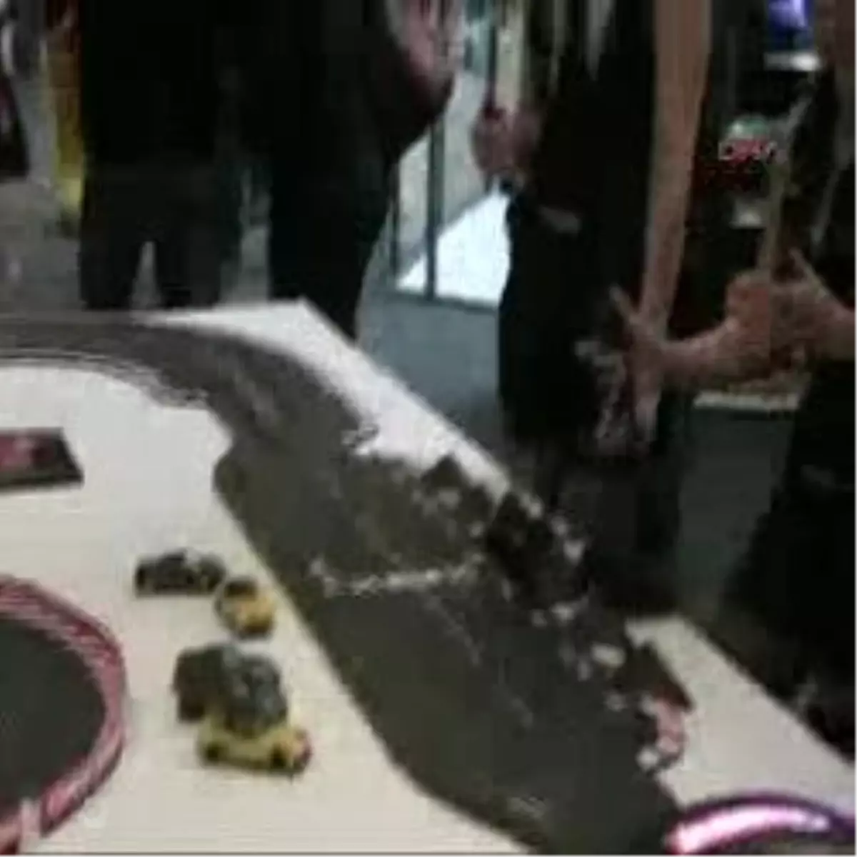 Çocukların Aklı Bu Fuarda