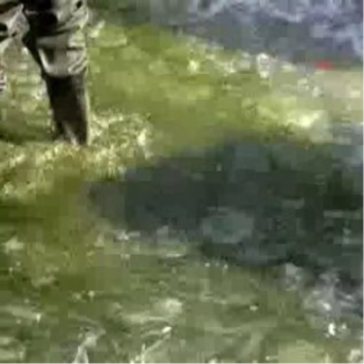 Kayseri\'de Hayvanat Bahçesindeki Ördekler İçin Göletteki Buzlar Kırıldı