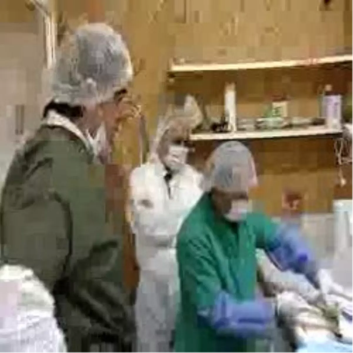 Yavru Foklar İzmir\'de Mutlu