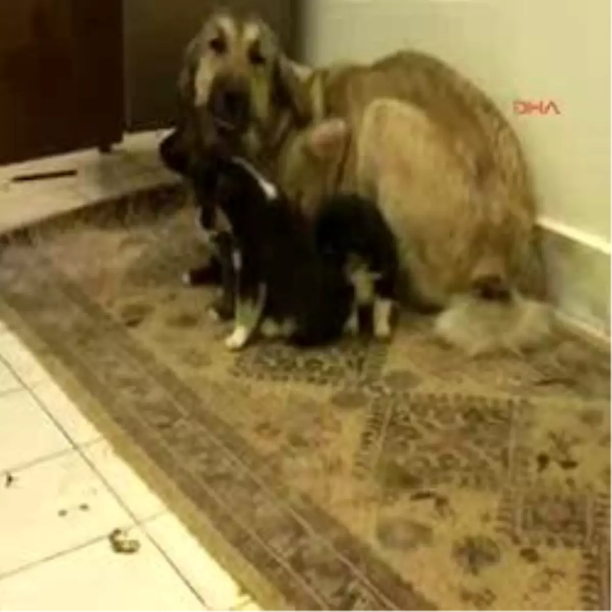 \'Güneş\'in Hayatı Dram