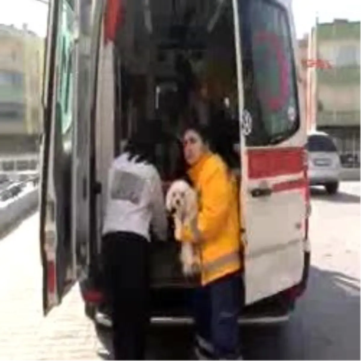 Gaziantep - Sahibiyle Kaza Geçiren Köpek Acili Birbirine Kattı