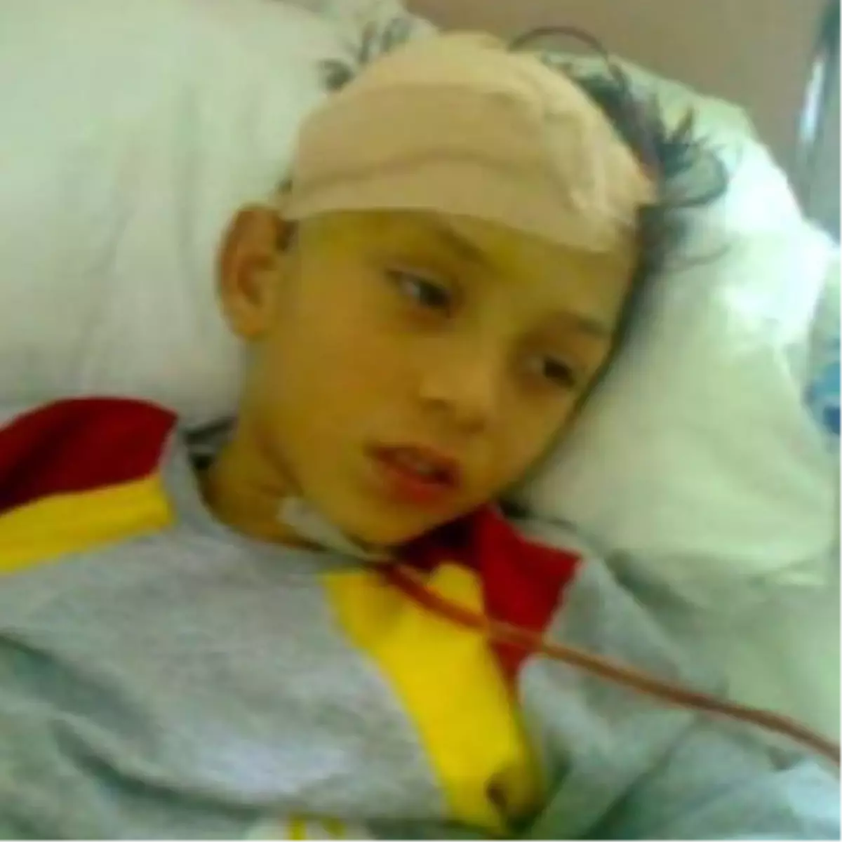 İşte Şişe Atan Holiganlar