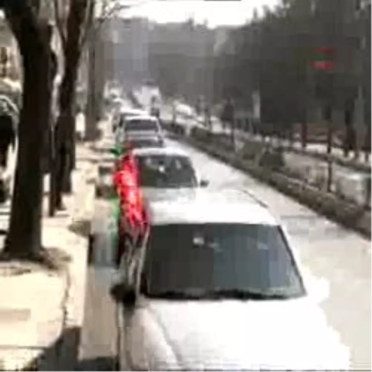 Batum\'a Şaşkın Ördek Benzetmesi
