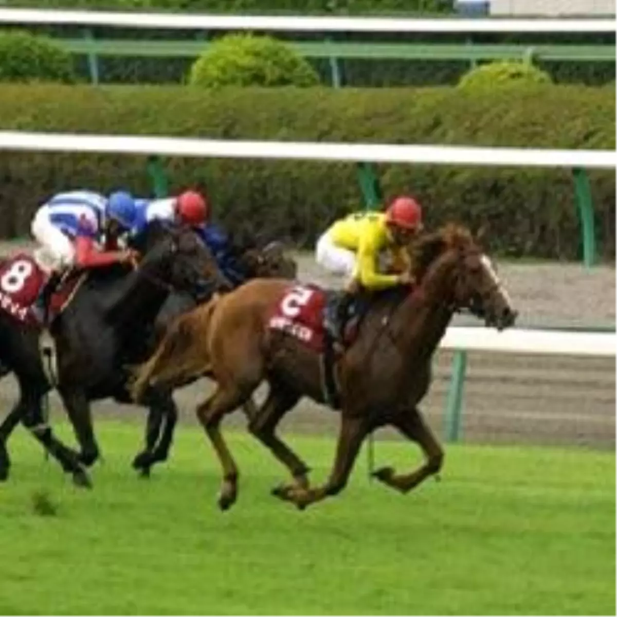 İzmir'de Altılı Ganyan 77.415,72 Lira İkramiye Verdi