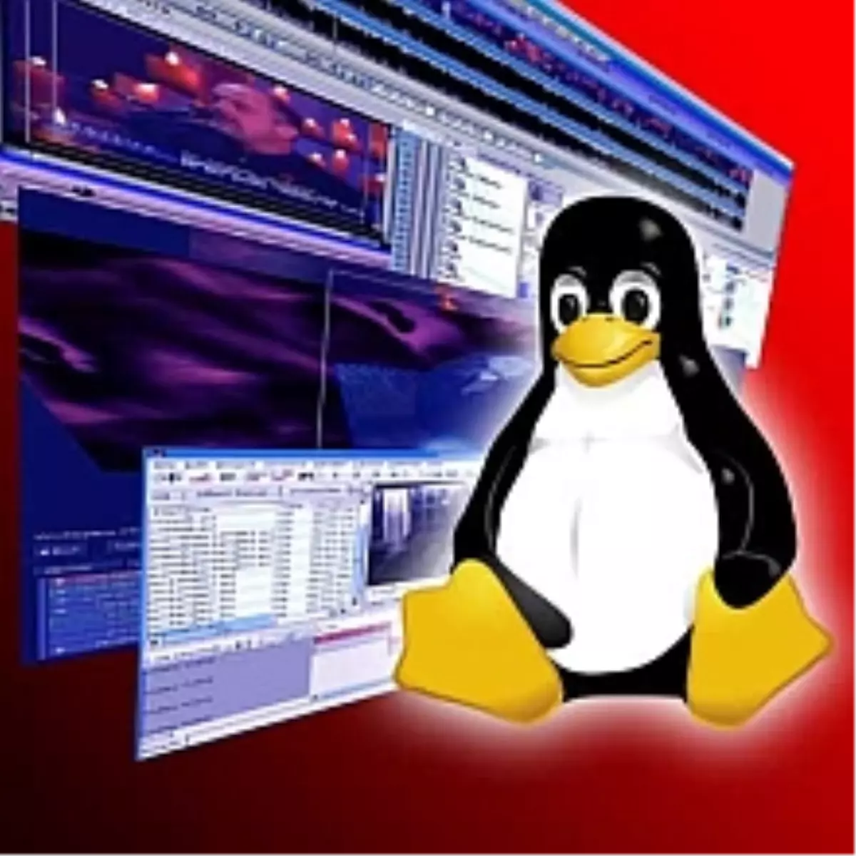 Windows'tan Sonra Linux'u Vuran Problem!