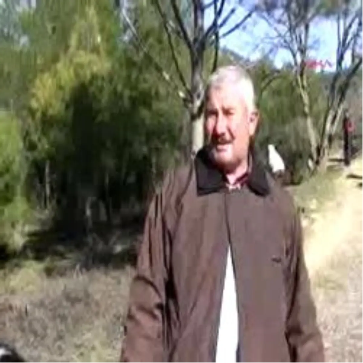 Kavaklıdere-Kurtlar Hayvanları Parçaladı