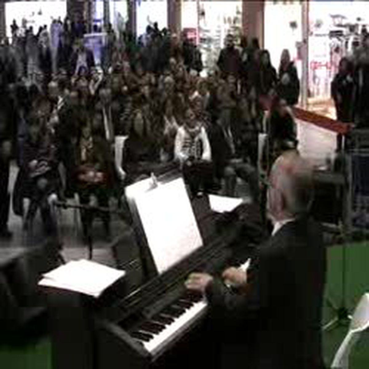 Aryalar Sevgililer İçin Yükseldi