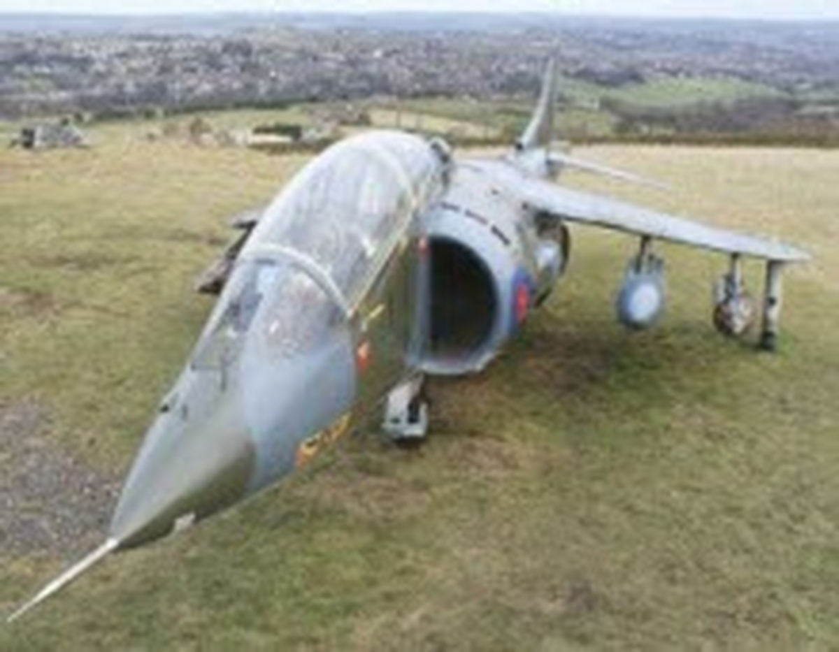 113 Bin Dolara Ebay'de Satılık Uçak!