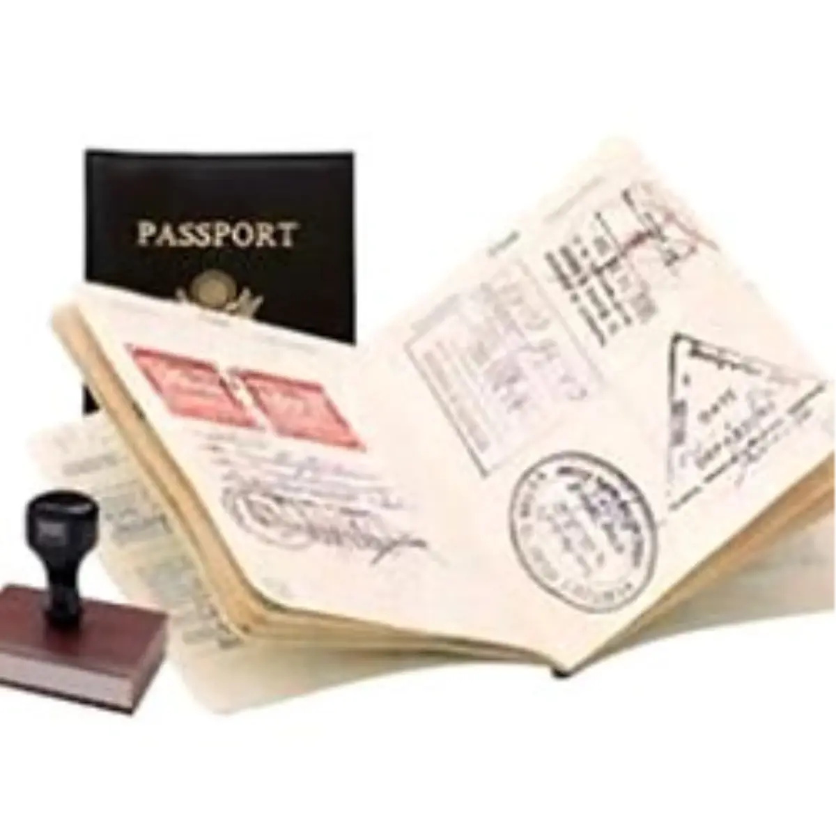 - Hollanda Mahkemesinden Tarihi \'Vize\' Kararı