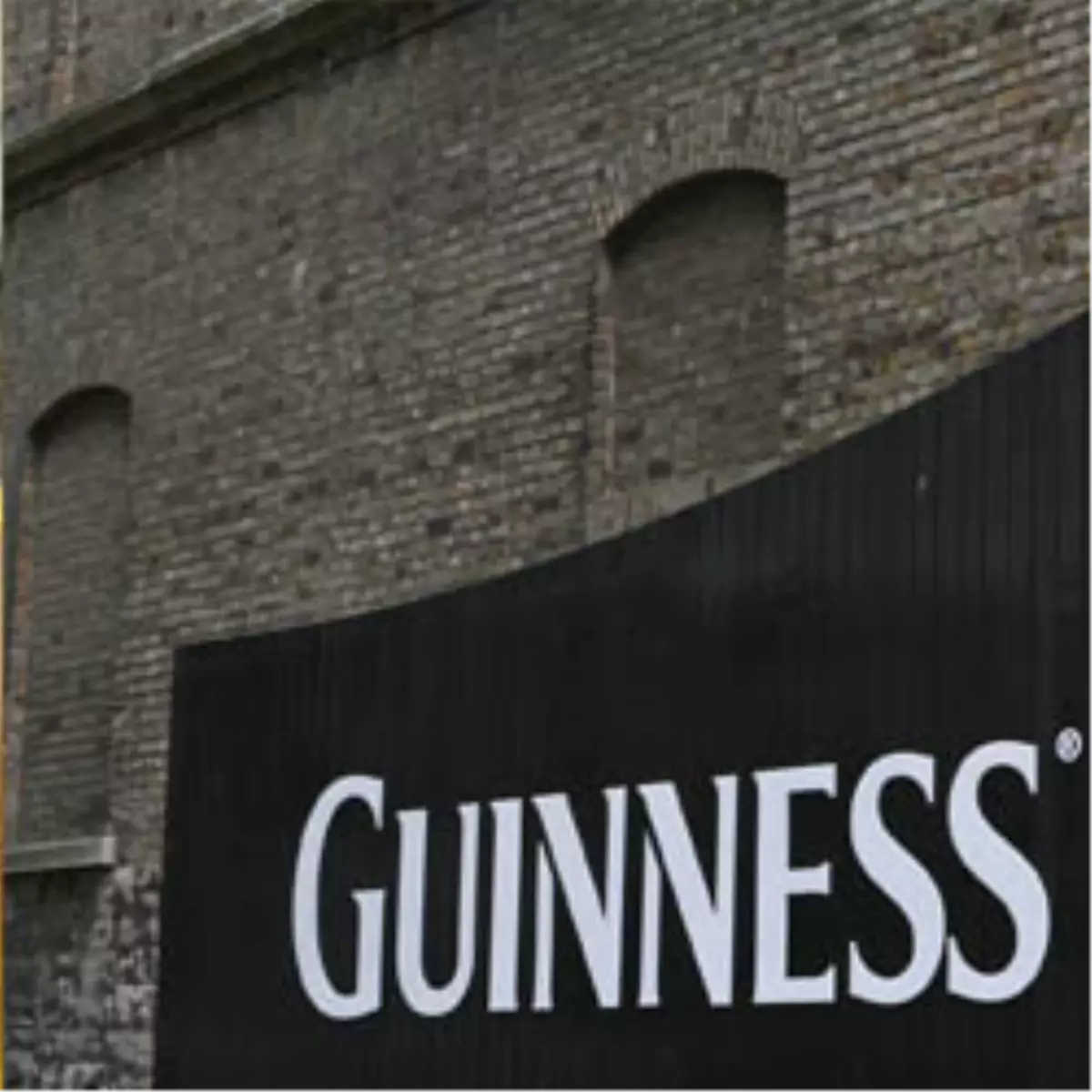 Türk İnşaat Firması\'ndan Guiness\'a Aday Dev Tesis