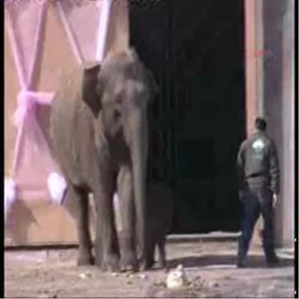 \'İzmir\' Güneşi Gördü