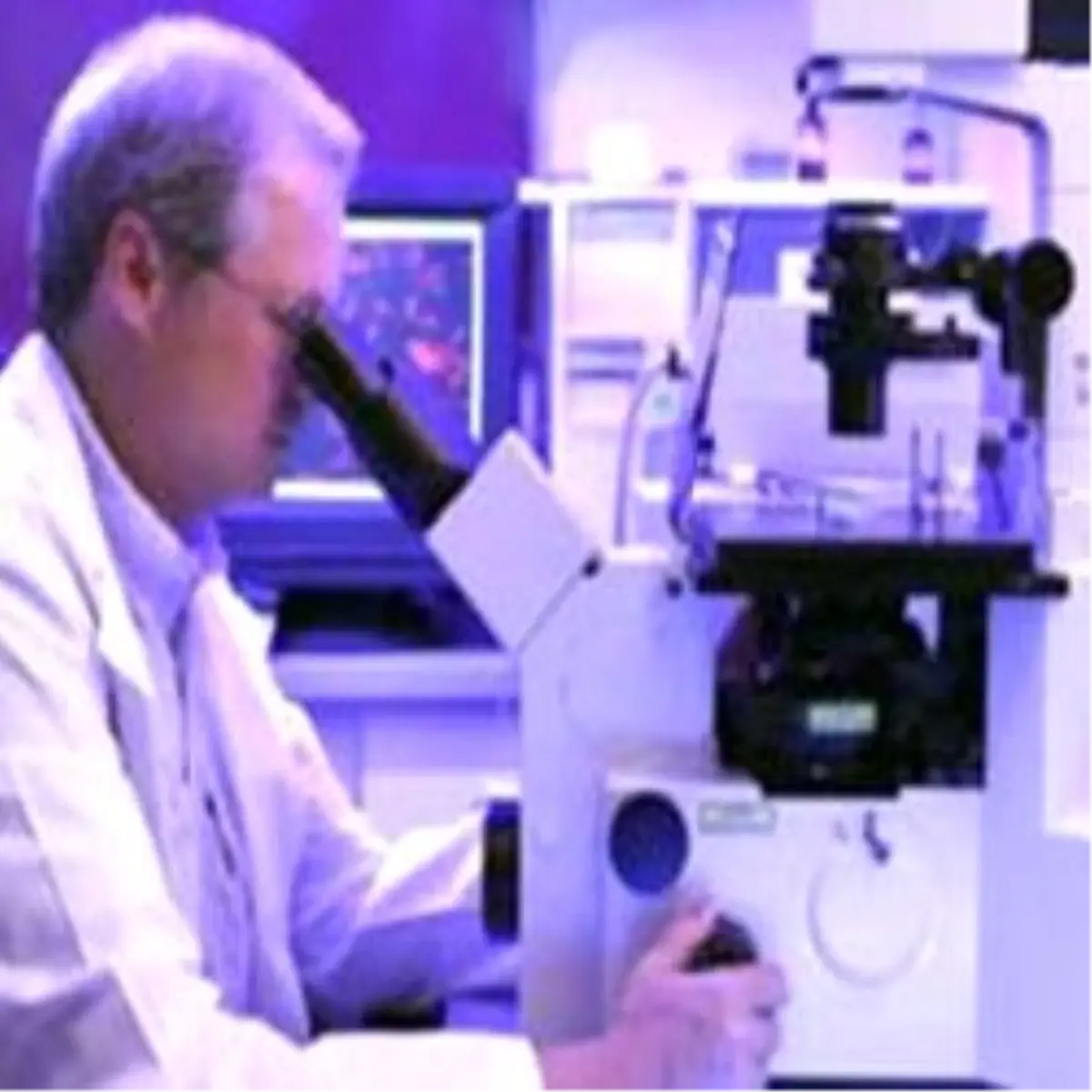 İstanbul\'da Salgın!