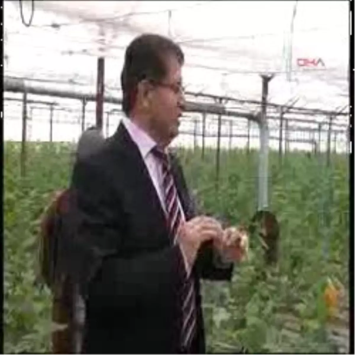 Alanya - Kaymakamdan Düdüklü Tencere