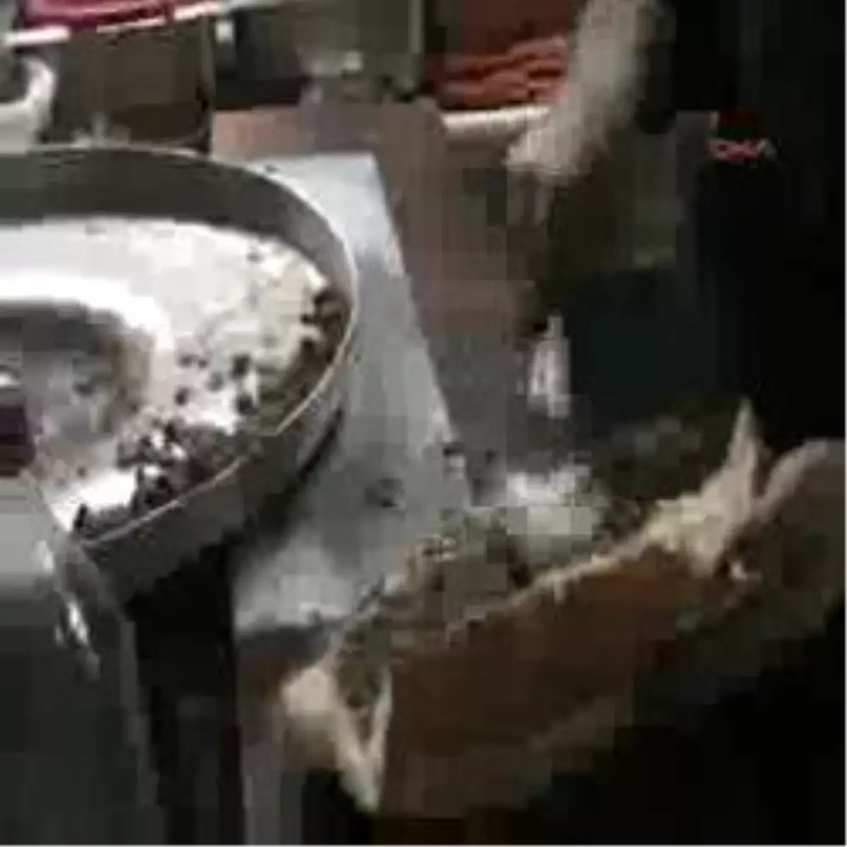 Erdemli - Libya\' Dan Döndü ,Bavulunu Bıraktı Ailesine Kavuştu