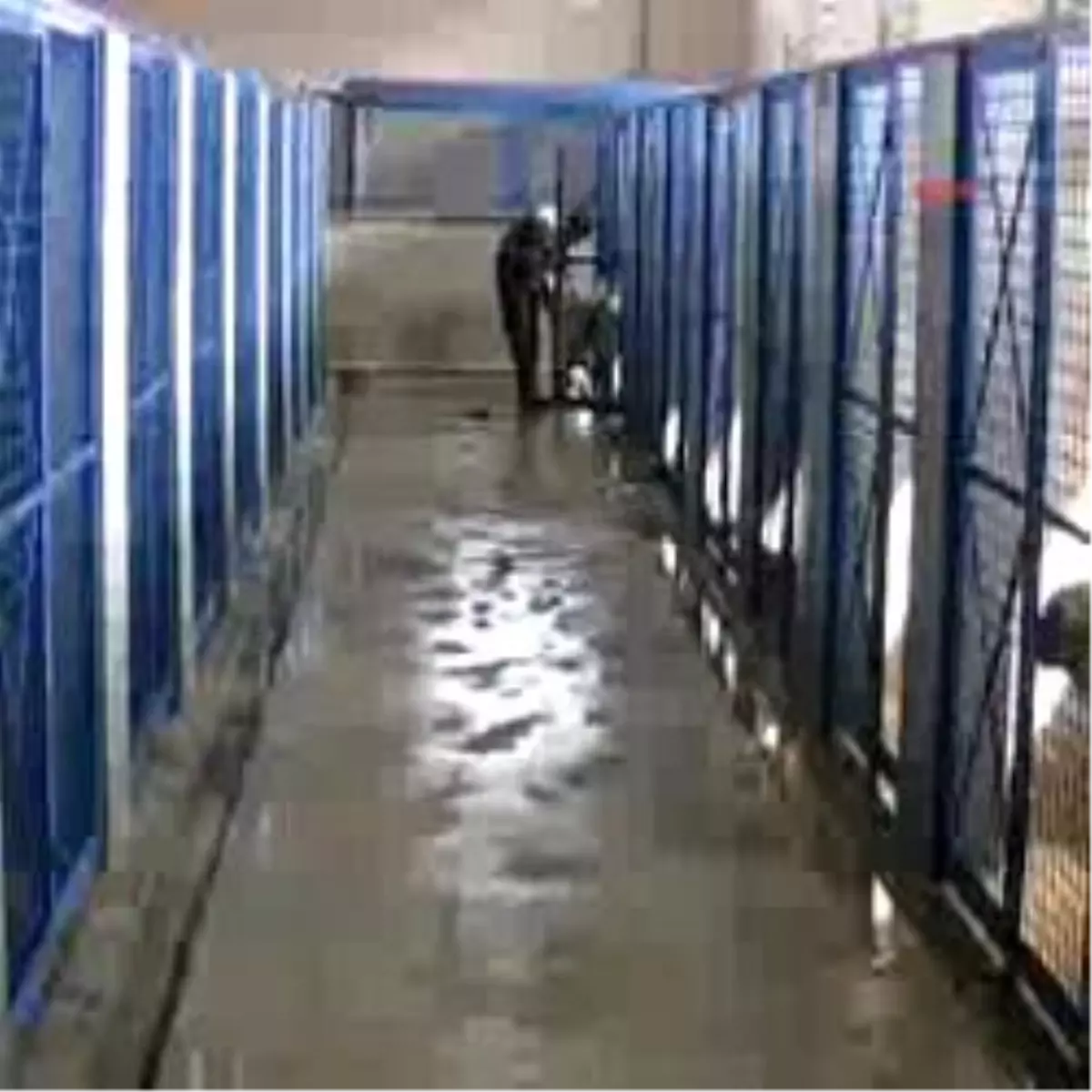 Elleriniz Kırılsın