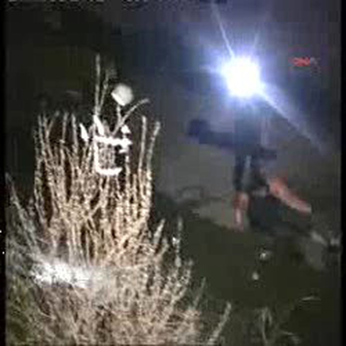 Hanımın Çiftliği\'ne Kaza Şoku