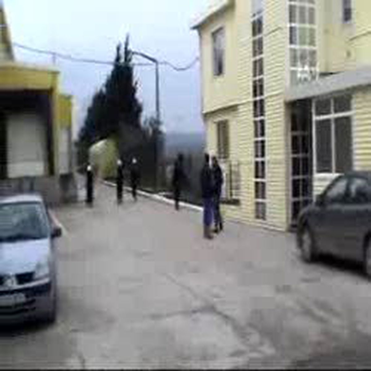 Avrupaya Kurbağa Bacağı İhracatı