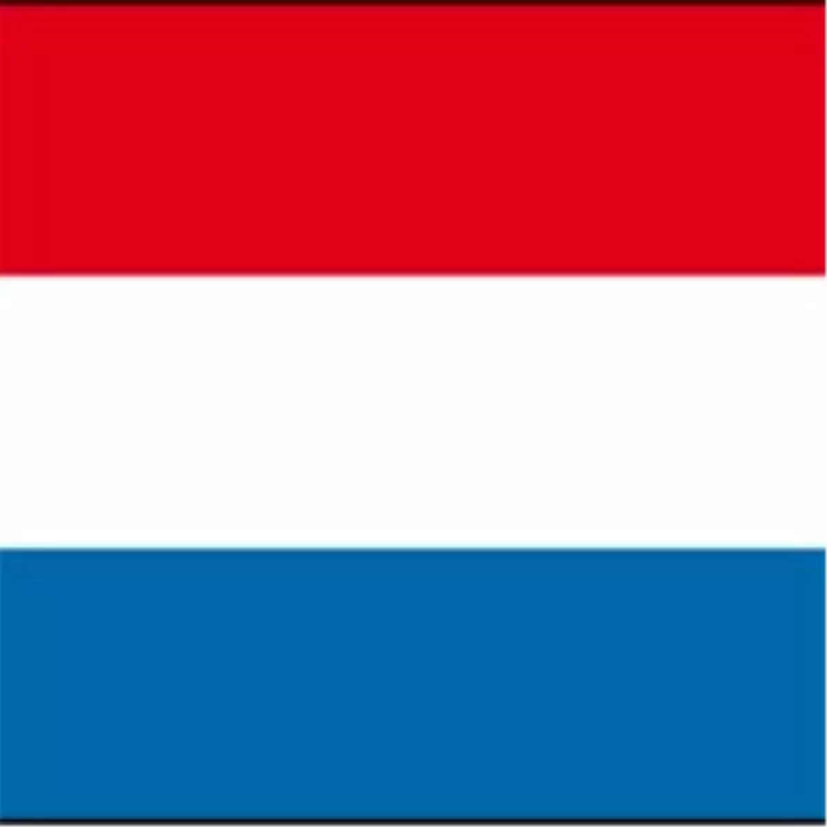 - 4 Türk Kökenli Daha Eyalet Meclislerine Girdi