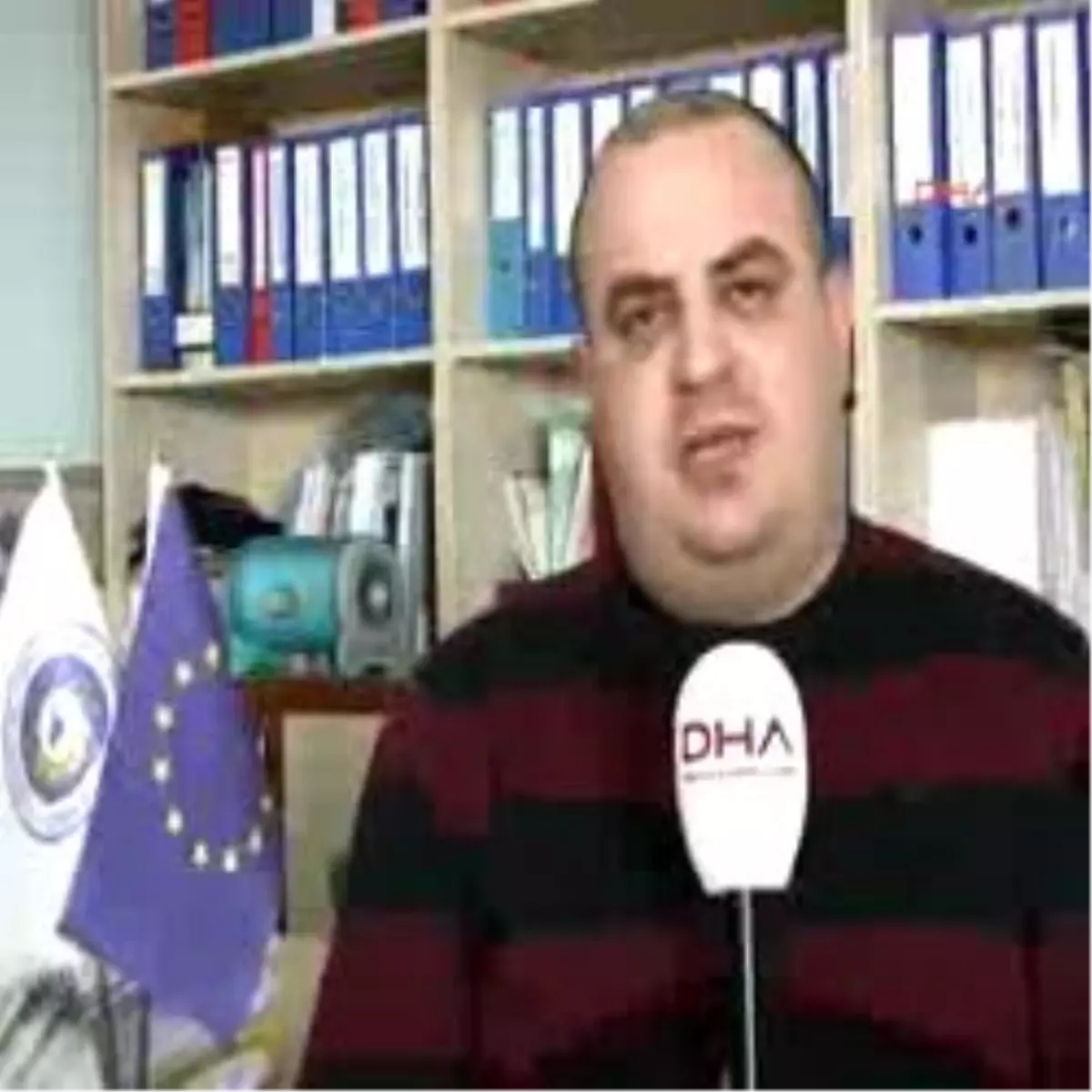 Uçan Balıklar Jelatin Olma Yolunda