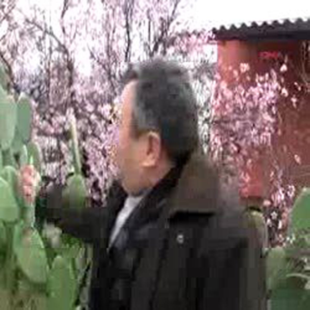 Toroslar'da Kar Anamur'da Bahar