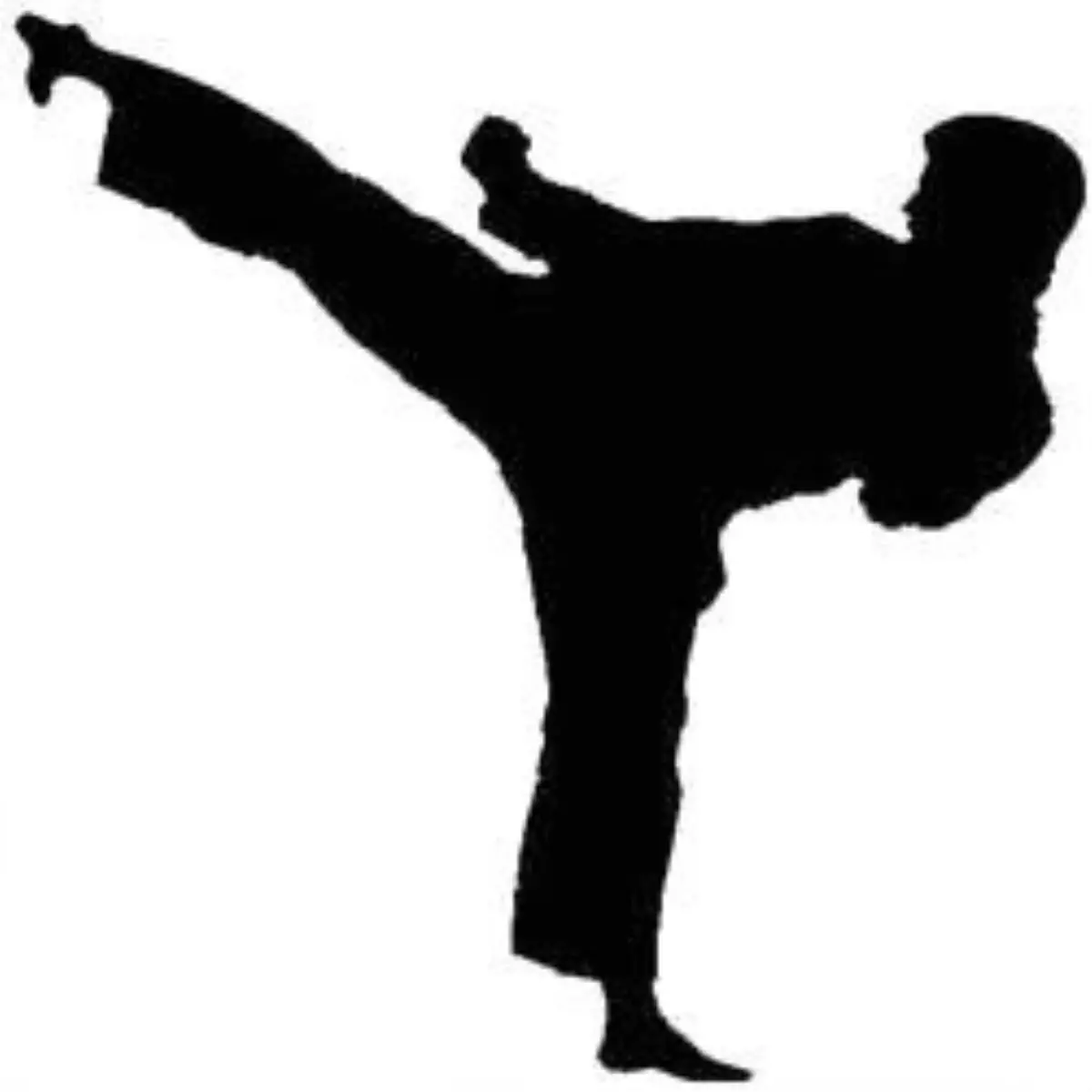 Türkiye Büyükler Karate Şampiyonası