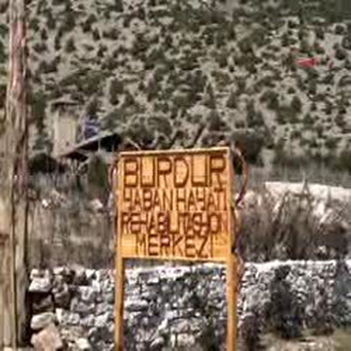 Bu Köye Kanser Giremez